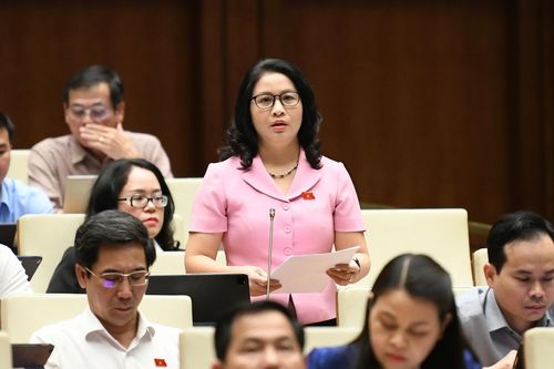 ĐBQH đề nghị hoàn thiện khung pháp lý hỗ trợ các trường đại học tự chủ