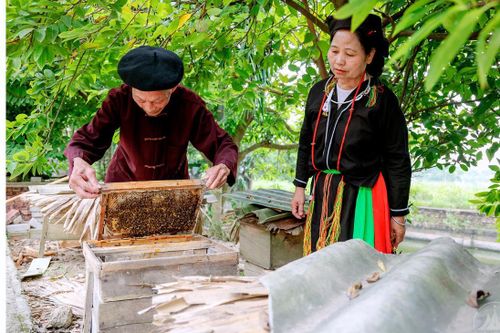 Vĩnh Phúc chú trọng giảm nghèo ở vùng đồng bào dân tộc thiểu số