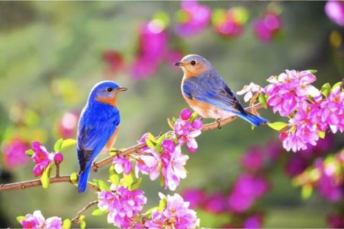 Bài ca xúc động về tình yêu và khát vọng sống