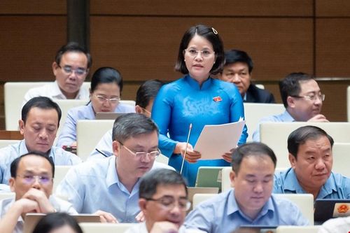 Đại biểu Quốc hội phản ánh nỗi khổ của con em công nhân trước lộ trình tăng học phí