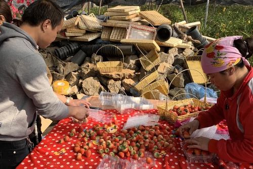 Nắm bắt cơ hội, ứng dụng chuyển đổi số trong xây dựng nông thôn mới