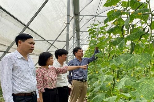Chuyển đổi số trong sản xuất nông sản: Giảm chi phí nhân công, tăng năng suất