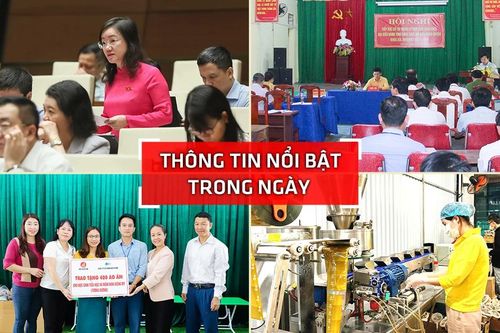 Thông tin nổi bật tại Nghệ An ngày 2/11