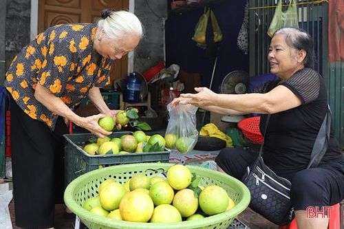 Cam Hà Tĩnh đầu mùa 'được lòng' khách hàng