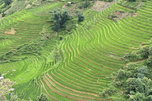 Kỷ niệm 10 năm ruộng bậc thang Sa Pa trở thành Danh thắng Quốc gia