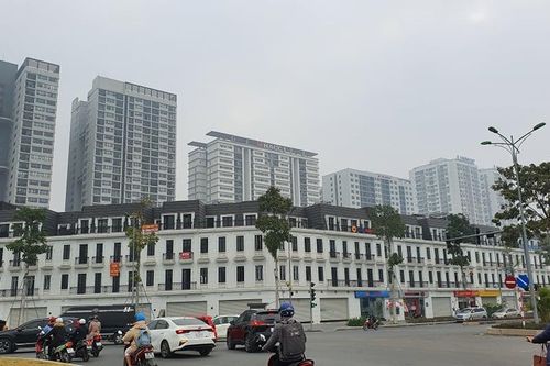 Thị trường bất động sản đang ở thời điểm hợp lý để nhà đầu tư tìm mua nhà đất