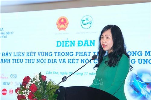 Thương mại điện tử tăng trưởng nhanh nhưng còn nhiều lỗ hổng