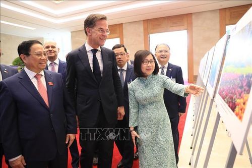 Thủ tướng Phạm Minh Chính và Thủ tướng Hà Lan Mark Rutte tham quan trưng bày ảnh của TTXVN