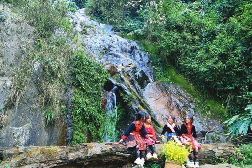 Cảnh sắc ở bản người Mông khiến du khách thương nhớ không nguôi
