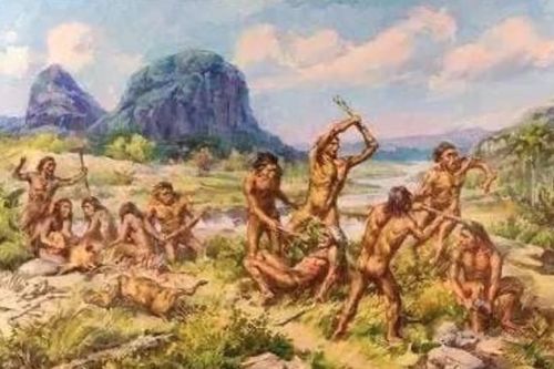 Có hàng triệu loài trên trái đất, tại sao chỉ mỗi con người cần mặc quần áo để giữ ấm?