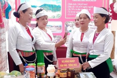 Những phụ nữ dân tộc thiểu số 'cõng' hàng đi tìm thị trường tiêu thụ
