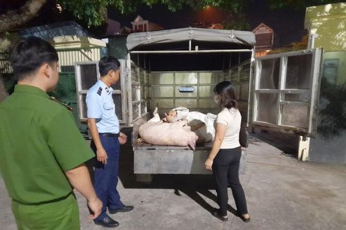 Hưng Yên: Xử lý gần 500kg thịt lợn bẩn