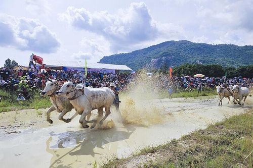 Sân chơi hấp dẫn vùng Bảy Núi