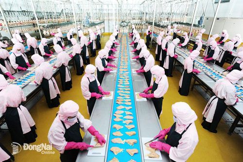Nhiều doanh nghiệp Đồng Nai nộp thuế lớn