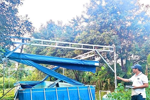 Chư Pưh: Nhiều bể bơi trong trường học hư hỏng gây lãng phí ngân sách