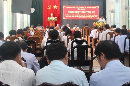Gia Lai: Sinh hoạt chuyên đề về nâng cao chất lượng sinh hoạt cấp ủy, tổ chức cơ sở Đảng