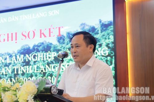Sơ kết đề án phát triển lâm nghiệp bền vững trên địa bàn tỉnh giai đoạn 2020 – 2030