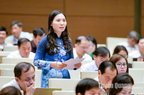 Đại biểu Âu Thị Mai đề xuất giải pháp đẩy nhanh tiến độ giải ngân vốn đầu tư công