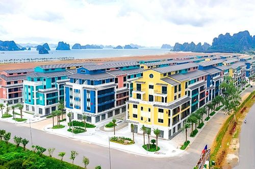 CEO Group: Doanh thu chạm đáy 2 năm, có gần 2.600 tỷ đồng tiền mặt và tiền gửi