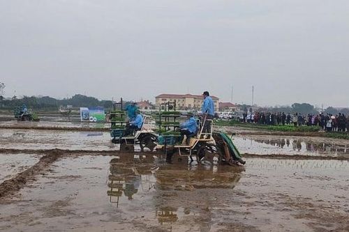 Vĩnh Phúc: Ứng dụng khoa học công nghệ tiến tiến hiện đại hướng tới phát triển nền nông nghiệp xanh