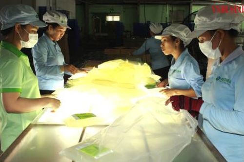 Hồi hộp 'sức khỏe' ngành sản xuất nội địa trên chặng đường cuối năm