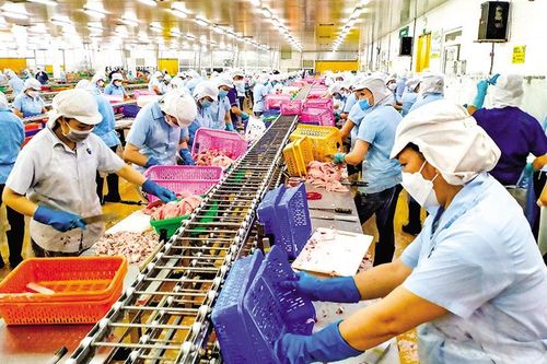 Xuất khẩu thủy sản thu về gần 7,5 tỷ USD, được thị trường Thụy Sĩ ưa chuộng