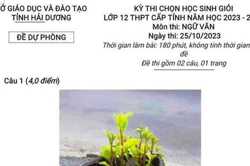 Đề thi học sinh giỏi Ngữ văn: Hãy học cách sinh tồn như cỏ dại