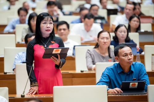 ĐBQH Trần Thị Thanh Hương: 'Cần chú trọng hơn nữa công tác bảo vệ trẻ em'