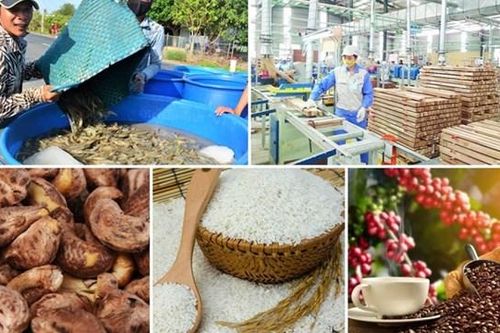 HSBC: Nông sản là điểm sáng trong lĩnh vực xuất khẩu của Việt Nam