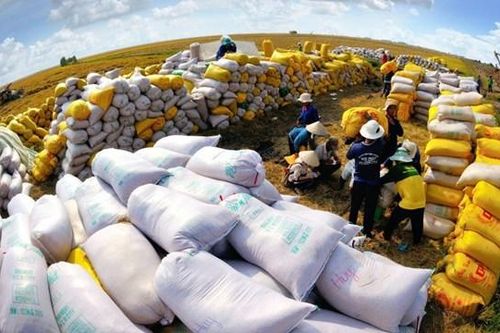 Người nhà lãnh đạo Nông nghiệp công nghệ cao Trung An (TAR) bị phạt gần nửa tỷ đồng do giao dịch chứng khoán không báo cáo
