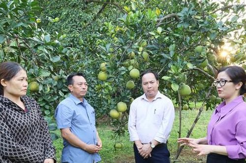 Phát huy trách nhiệm nêu gương ở Chương Mỹ