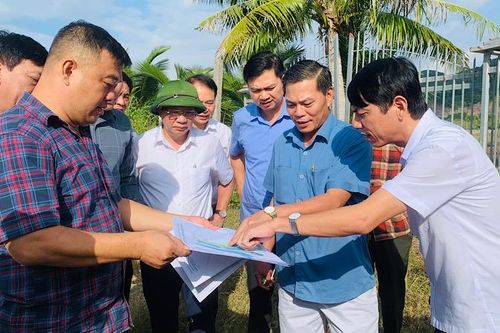 Hải Phòng tập trung giải quyết tồn tại về đất đai phục vụ phát triển du lịch Cát Bà
