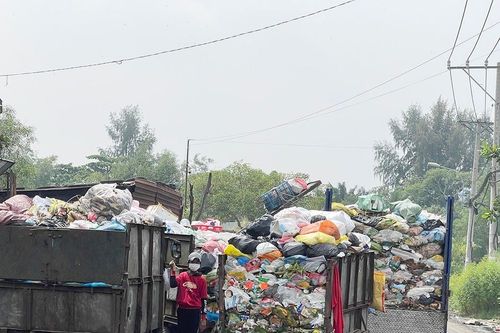 Hành động vì một thành phố xanh: Các chiến dịch đang dần chậm lại!