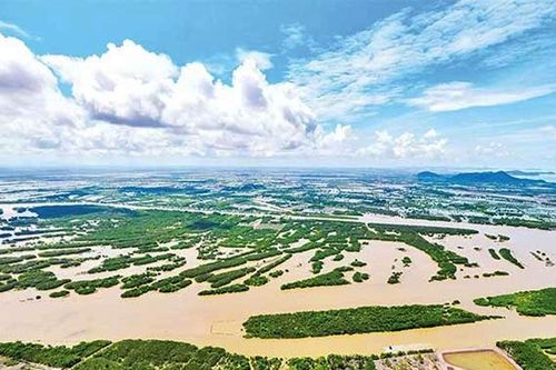 Xử lý nghiêm tình trạng lấn chiếm đầm Đông Hồ ở Kiên Giang