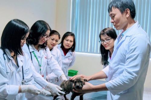 Tháo gỡ cơ chế mở đường phát triển khoa học công nghệ