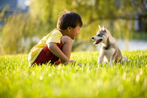 5 lợi ích khi trẻ nuôi thú cưng