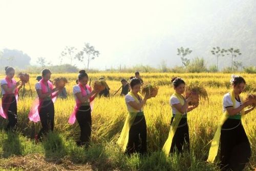 Phong Thổ (Lai Châu): Hướng đến sản phẩm dịch vụ du lịch lưu trú kéo dài