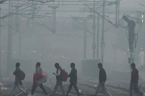 Ấn Độ: Đóng cửa trường học vì khói độc bao phủ thủ đô Delhi