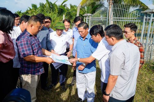 Hải Phòng: Xử lý nghiêm các vi phạm về đất đai, chế biến sứa tại Cát Bà