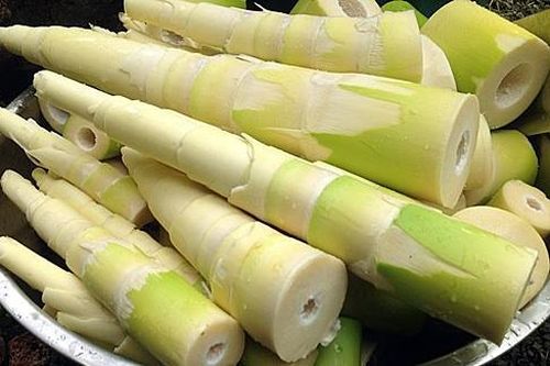 Cách khử chất cực độc xyanua trong một số thực phẩm quen thuộc