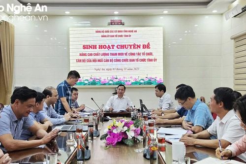 Đảng ủy Ban Tổ chức Tỉnh ủy tổ chức sinh hoạt chuyên đề