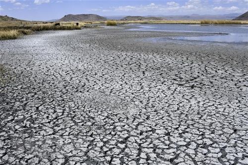 UNEP: Tài trợ quốc tế cho ứng phó với biến đổi khí hậu giảm