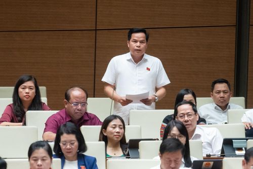 Quốc hội tranh luận trái chiều về việc chuyển nhượng đất trồng lúa