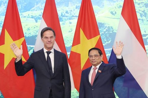 Củng cố mối quan hệ Việt Nam - Hà Lan qua các dự án nông nghiệp bền vững