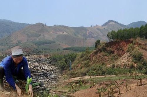 Cần tạo quỹ đất sản xuất cho đồng bào dân tộc thiểu số