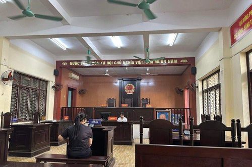 Hoãn xử bảo mẫu để trẻ sặc sữa tử vong