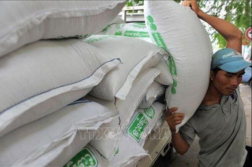 Campuchia lần đầu tiên xuất khẩu gạo sang Indonesia