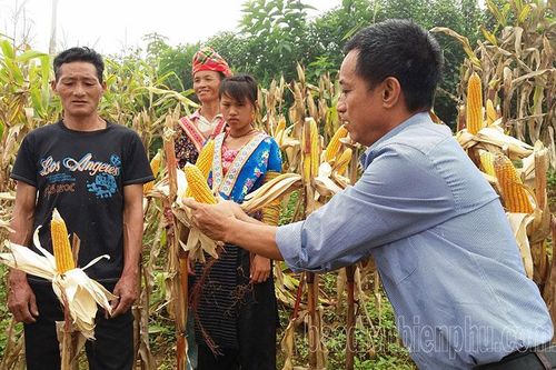 'Ba nhà' bắt tay tiêu thụ nông sản
