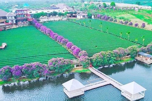 Những điểm đến mới ở Lâm Hà
