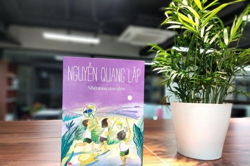 Nhớ mùa sim chín